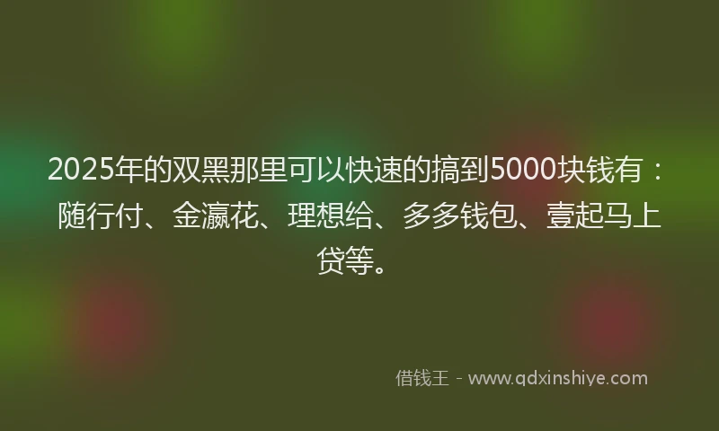 2025年的双黑那里可以快速的搞到5000块钱有：随行付、金瀛花、理想给、多多钱包、壹起马上贷等。