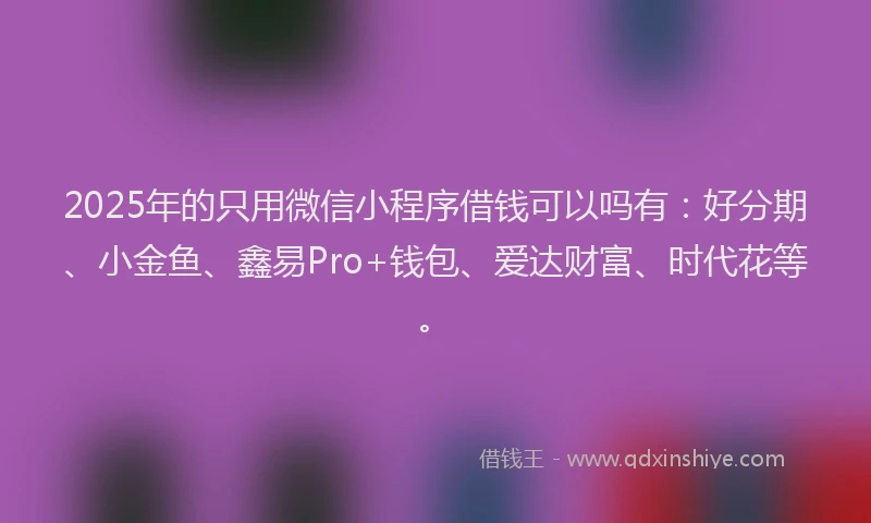 2025年的只用微信小程序借钱可以吗有：好分期、小金鱼、鑫易Pro+钱包、爱达财富、时代花等。