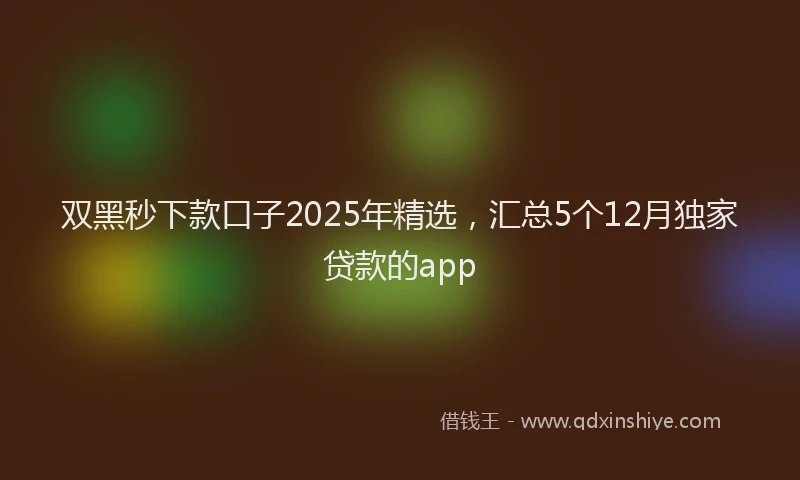 双黑秒下款口子2025年精选，汇总5个12月独家贷款的app