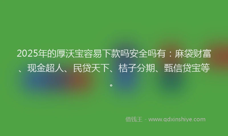 2025年的厚沃宝容易下款吗安全吗有：麻袋财富、现金超人、民贷天下、桔子分期、甄信贷宝等。