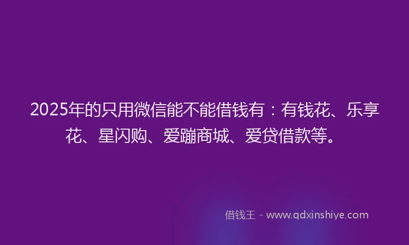 2025年的只用微信能不能借钱有：有钱花、乐享花、星闪购、爱蹦商城、爱贷借款等。