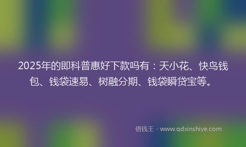 2025年的即科普惠好下款吗有：天小花、快鸟钱包、钱袋速易、树融分期、钱袋瞬贷宝等。