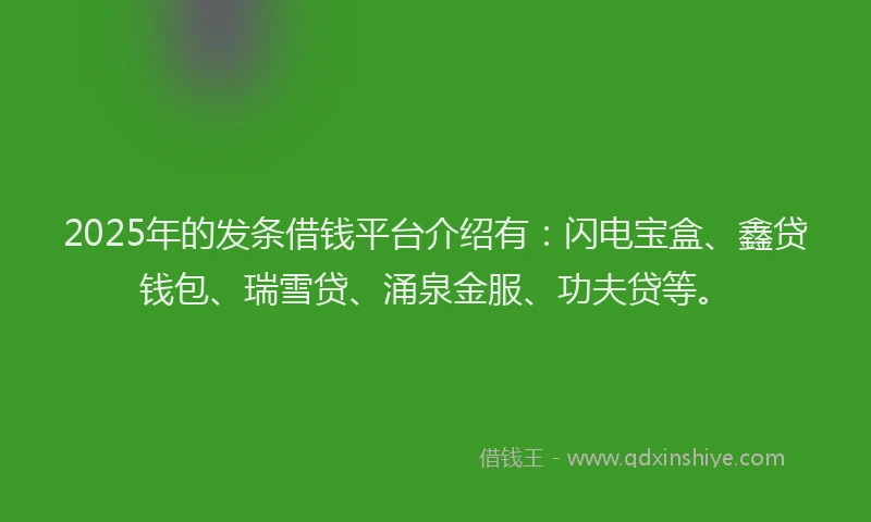 2025年的发条借钱平台介绍有：闪电宝盒、鑫贷钱包、瑞雪贷、涌泉金服、功夫贷等。