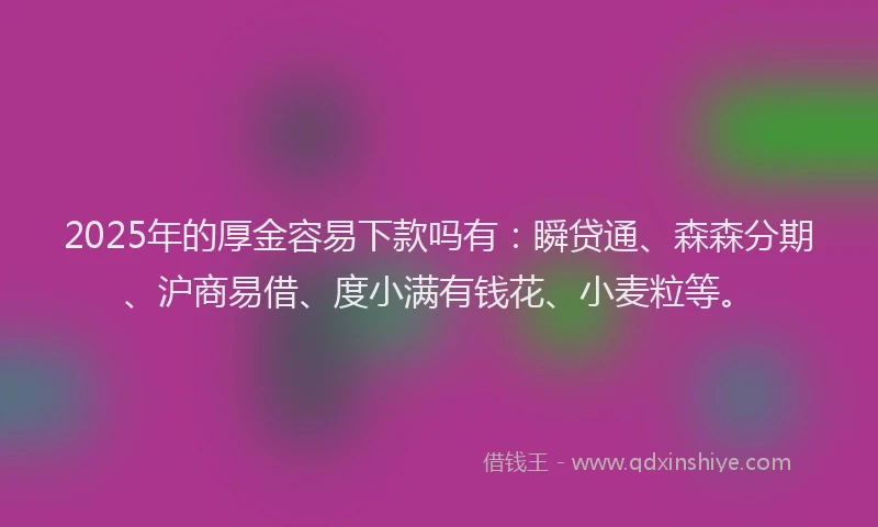 2025年的厚金容易下款吗有：瞬贷通、森森分期、沪商易借、度小满有钱花、小麦粒等。