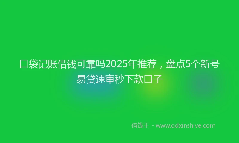 口袋记账借钱可靠吗2025年推荐，盘点5个新号易贷速审秒下款口子