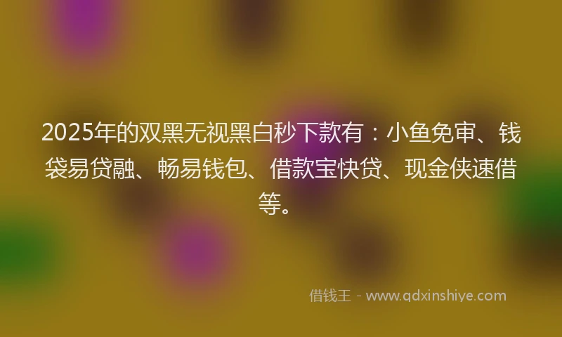 2025年的双黑无视黑白秒下款有：小鱼免审、钱袋易贷融、畅易钱包、借款宝快贷、现金侠速借等。