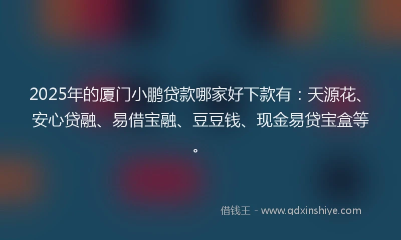 2025年的厦门小鹏贷款哪家好下款有：天源花、安心贷融、易借宝融、豆豆钱、现金易贷宝盒等。