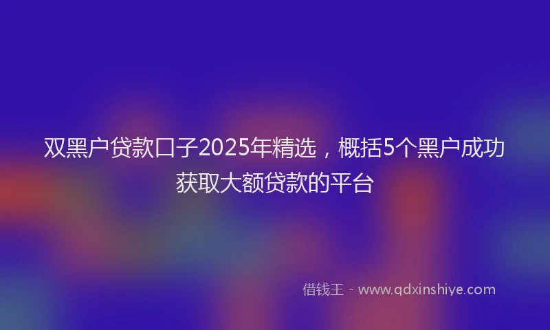 双黑户贷款口子2025年精选，概括5个黑户成功获取大额贷款的平台