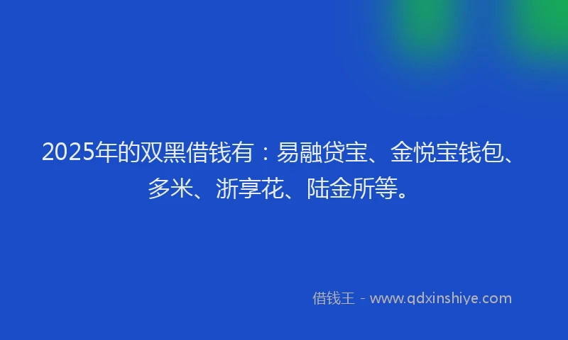 2025年的双黑借钱有：易融贷宝、金悦宝钱包、多米、浙享花、陆金所等。