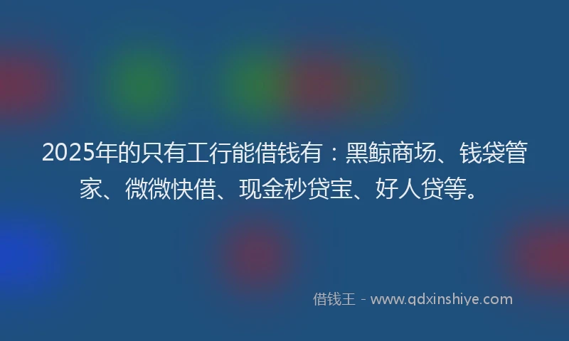 2025年的只有工行能借钱有：黑鲸商场、钱袋管家、微微快借、现金秒贷宝、好人贷等。