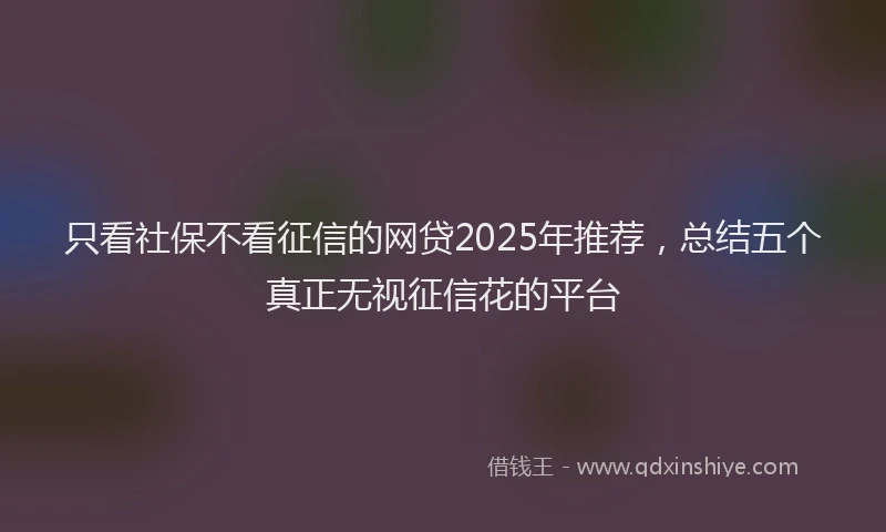 只看社保不看征信的网贷2025年推荐，总结五个真正无视征信花的平台