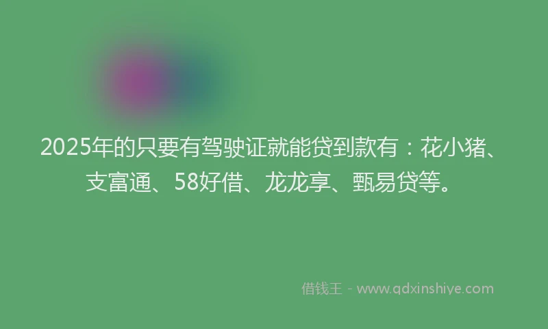 2025年的只要有驾驶证就能贷到款有：花小猪、支富通、58好借、龙龙享、甄易贷等。