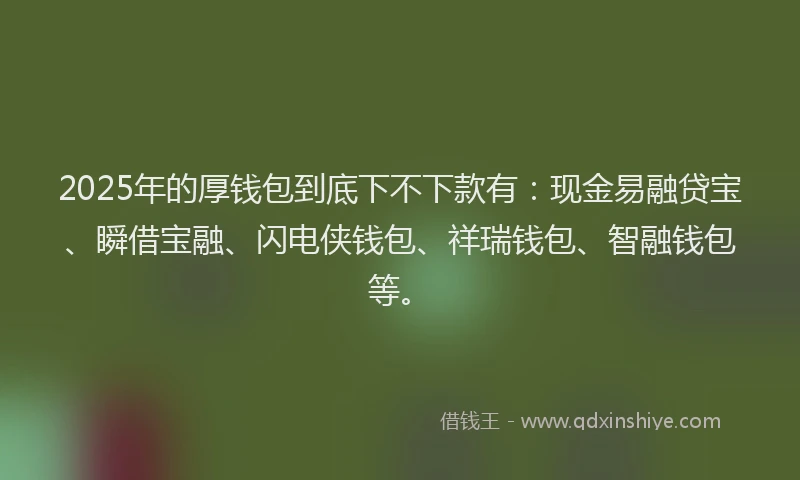 2025年的厚钱包到底下不下款有：现金易融贷宝、瞬借宝融、闪电侠钱包、祥瑞钱包、智融钱包等。