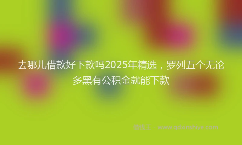去哪儿借款好下款吗2025年精选，罗列五个无论多黑有公积金就能下款