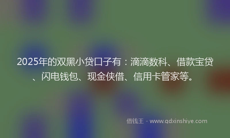 2025年的双黑小贷口子有：滴滴数科、借款宝贷、闪电钱包、现金侠借、信用卡管家等。