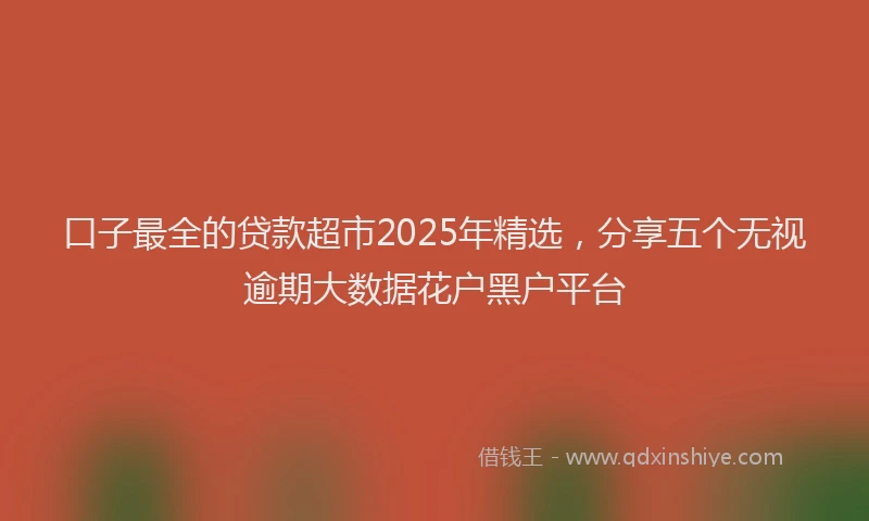 口子最全的贷款超市2025年精选，分享五个无视逾期大数据花户黑户平台