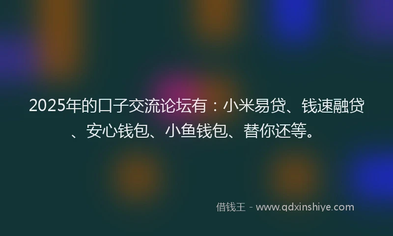 2025年的口子交流论坛有：小米易贷、钱速融贷、安心钱包、小鱼钱包、替你还等。