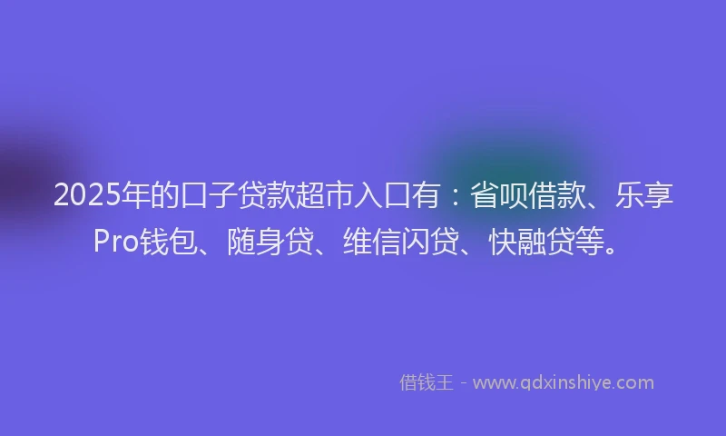 2025年的口子贷款超市入口有：省呗借款、乐享Pro钱包、随身贷、维信闪贷、快融贷等。