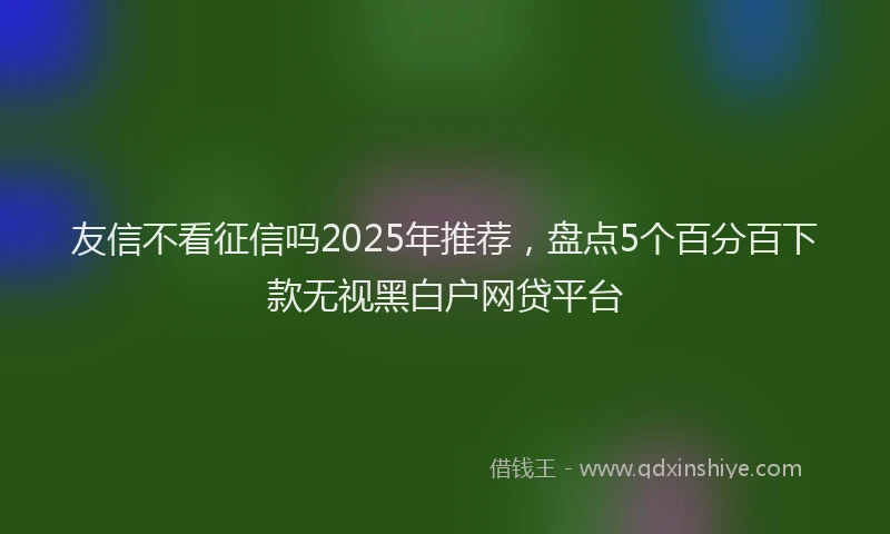 友信不看征信吗2025年推荐，盘点5个百分百下款无视黑白户网贷平台