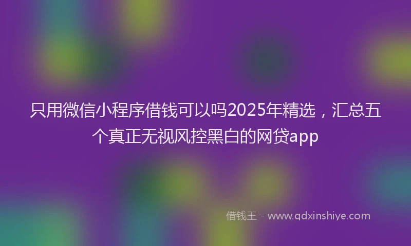 只用微信小程序借钱可以吗2025年精选，汇总五个真正无视风控黑白的网贷app