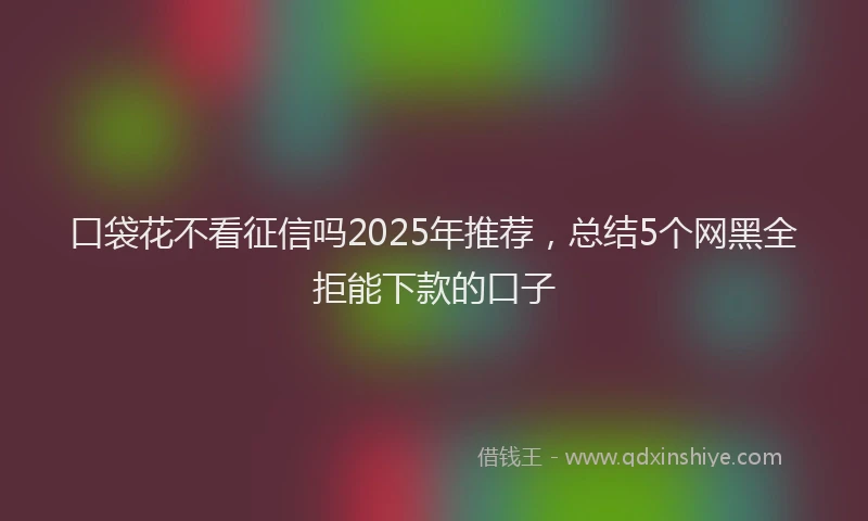 口袋花不看征信吗2025年推荐，总结5个网黑全拒能下款的口子