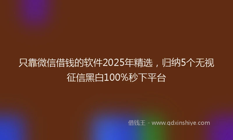 只靠微信借钱的软件2025年精选，归纳5个无视征信黑白100%秒下平台