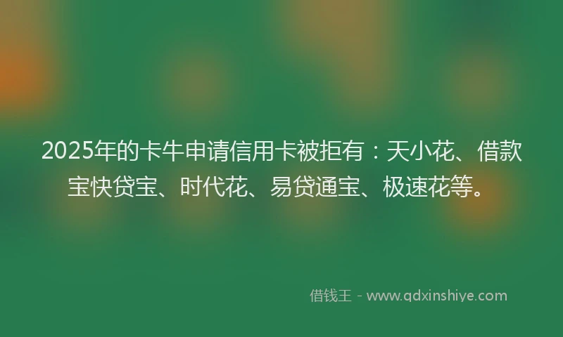 2025年的卡牛申请信用卡被拒有：天小花、借款宝快贷宝、时代花、易贷通宝、极速花等。
