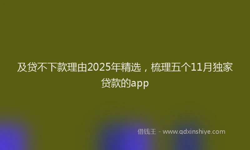 及贷不下款理由2025年精选，梳理五个11月独家贷款的app
