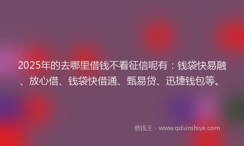 2025年的去哪里借钱不看征信呢有：钱袋快易融、放心借、钱袋快借通、甄易贷、迅捷钱包等。
