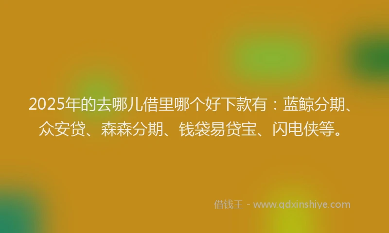 2025年的去哪儿借里哪个好下款有：蓝鲸分期、众安贷、森森分期、钱袋易贷宝、闪电侠等。