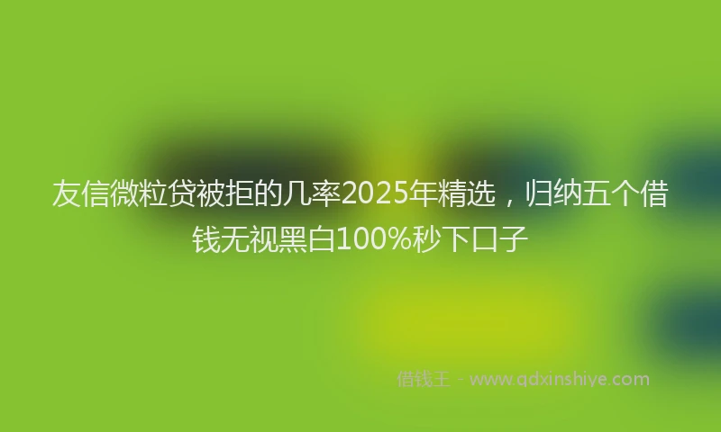 友信微粒贷被拒的几率2025年精选，归纳五个借钱无视黑白100%秒下口子