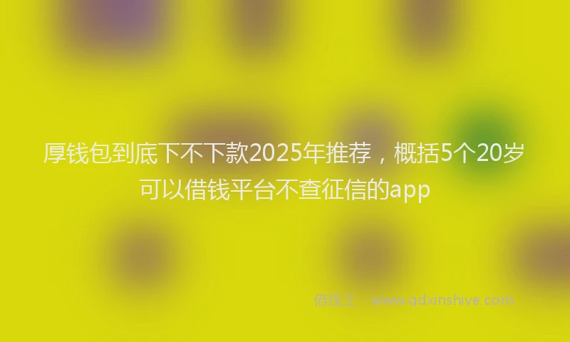 厚钱包到底下不下款2025年推荐，概括5个20岁可以借钱平台不查征信的app