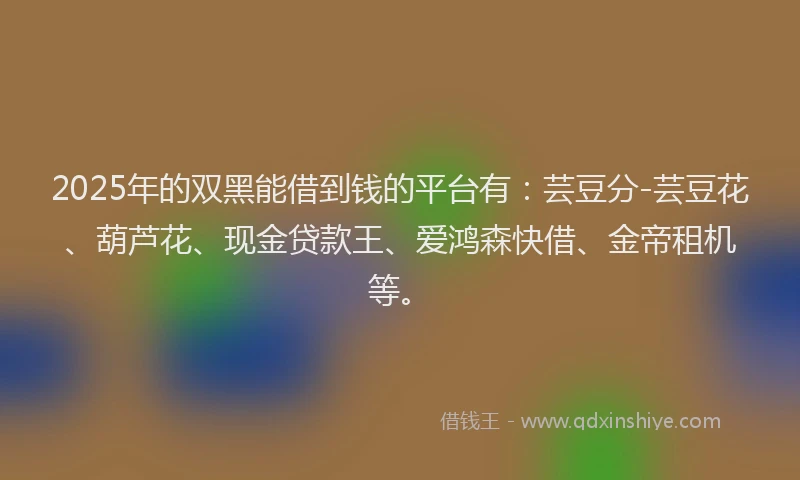 2025年的双黑能借到钱的平台有：芸豆分-芸豆花、葫芦花、现金贷款王、爱鸿森快借、金帝租机等。