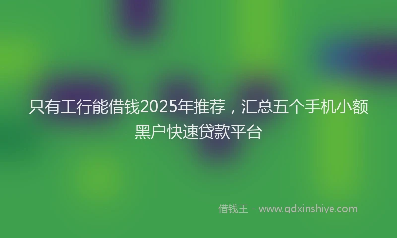 只有工行能借钱2025年推荐，汇总五个手机小额黑户快速贷款平台