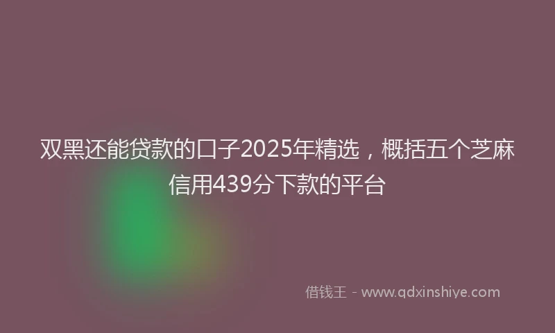 双黑还能贷款的口子2025年精选，概括五个芝麻信用439分下款的平台
