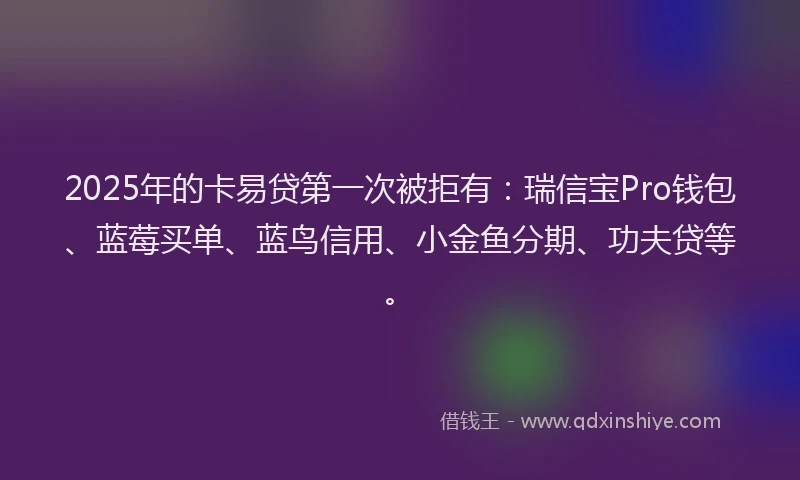 2025年的卡易贷第一次被拒有：瑞信宝Pro钱包、蓝莓买单、蓝鸟信用、小金鱼分期、功夫贷等。
