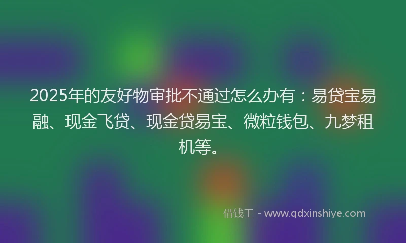 2025年的友好物审批不通过怎么办有：易贷宝易融、现金飞贷、现金贷易宝、微粒钱包、九梦租机等。