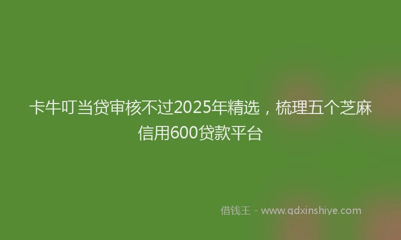 卡牛叮当贷审核不过2025年精选，梳理五个芝麻信用600贷款平台