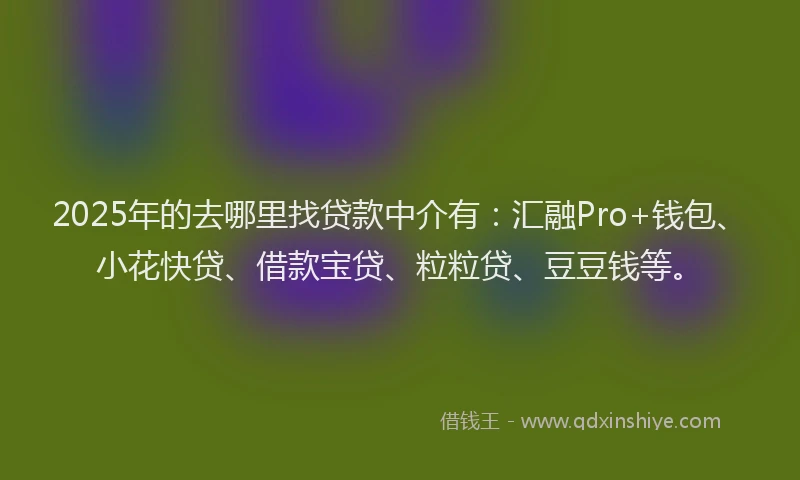 2025年的去哪里找贷款中介有：汇融Pro+钱包、小花快贷、借款宝贷、粒粒贷、豆豆钱等。