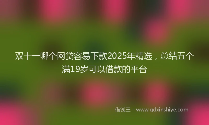 双十一哪个网贷容易下款2025年精选，总结五个满19岁可以借款的平台