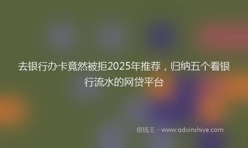 去银行办卡竟然被拒2025年推荐，归纳五个看银行流水的网贷平台
