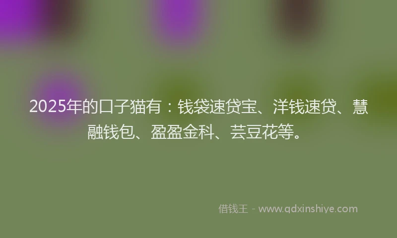 2025年的口子猫有：钱袋速贷宝、洋钱速贷、慧融钱包、盈盈金科、芸豆花等。