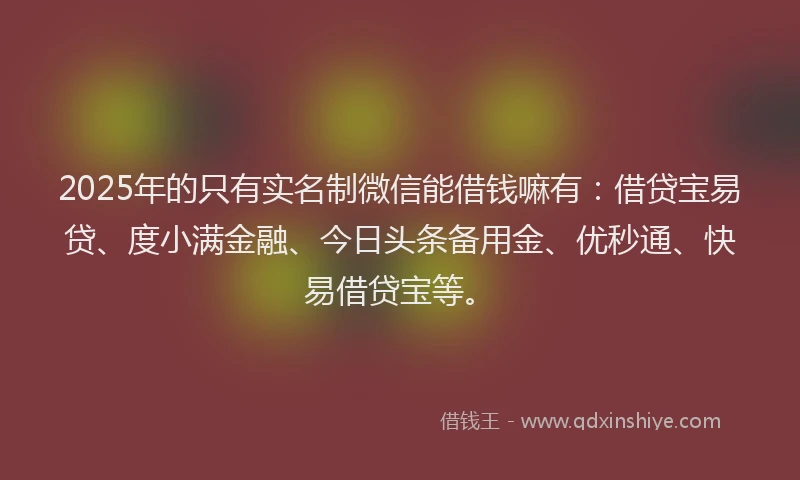 2025年的只有实名制微信能借钱嘛有：借贷宝易贷、度小满金融、今日头条备用金、优秒通、快易借贷宝等。