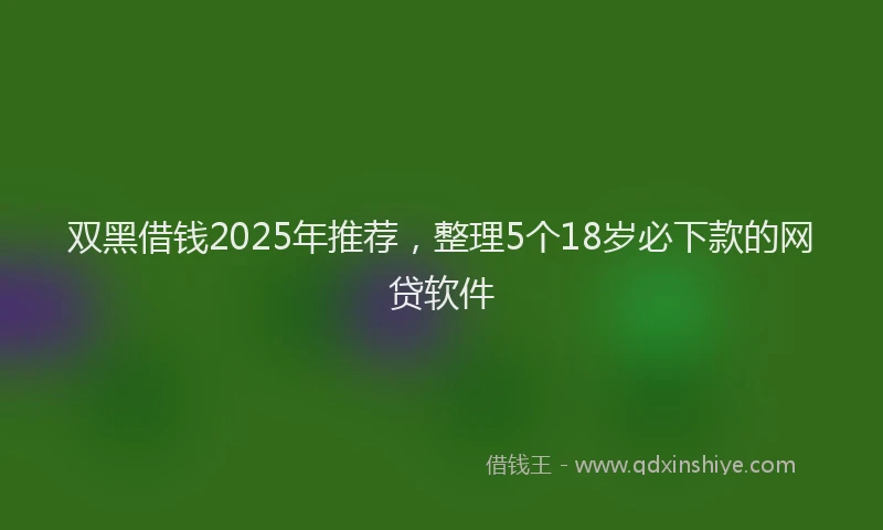 双黑借钱2025年推荐，整理5个18岁必下款的网贷软件