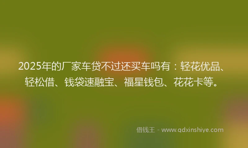 2025年的厂家车贷不过还买车吗有：轻花优品、轻松借、钱袋速融宝、福星钱包、花花卡等。