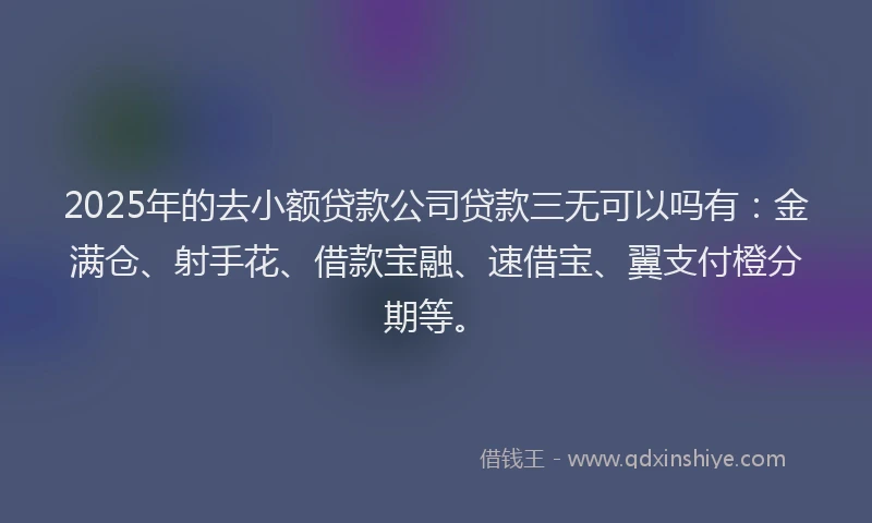 2025年的去小额贷款公司贷款三无可以吗有：金满仓、射手花、借款宝融、速借宝、翼支付橙分期等。