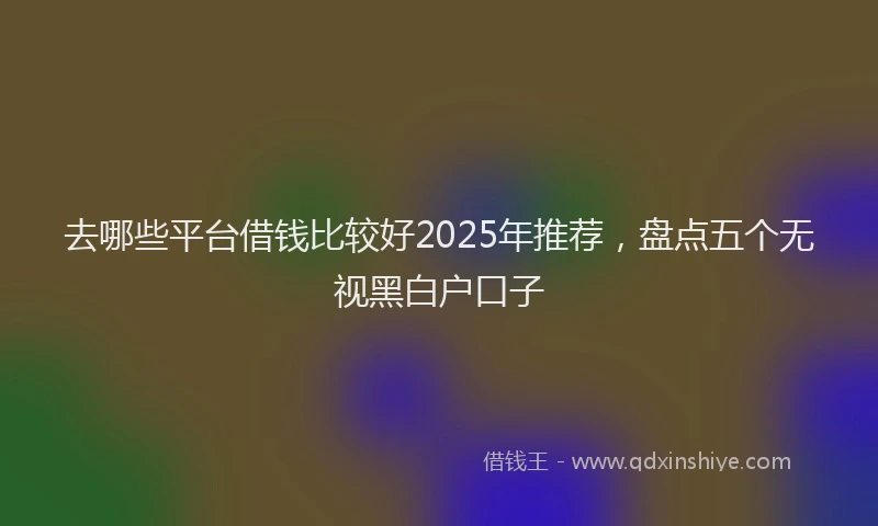 去哪些平台借钱比较好2025年推荐，盘点五个无视黑白户口子