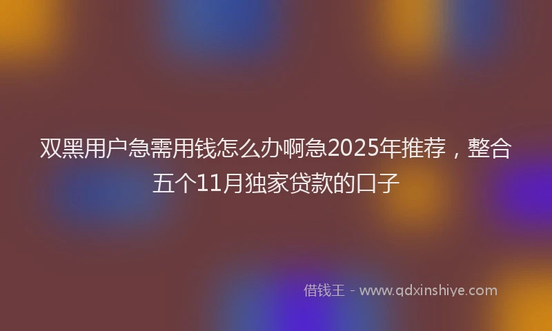 双黑用户急需用钱怎么办啊急2025年推荐，整合五个11月独家贷款的口子