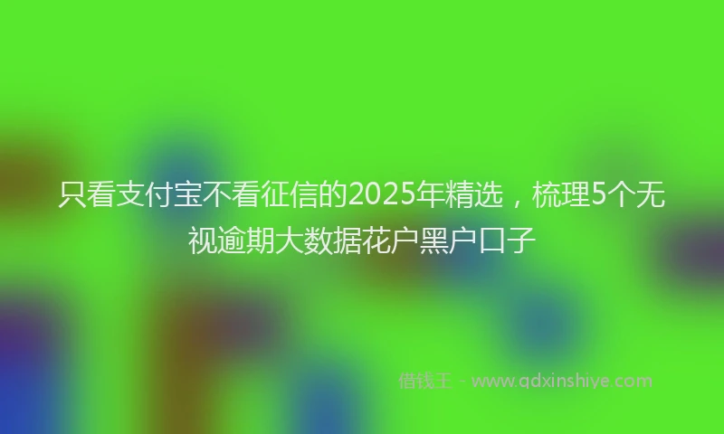只看支付宝不看征信的2025年精选，梳理5个无视逾期大数据花户黑户口子