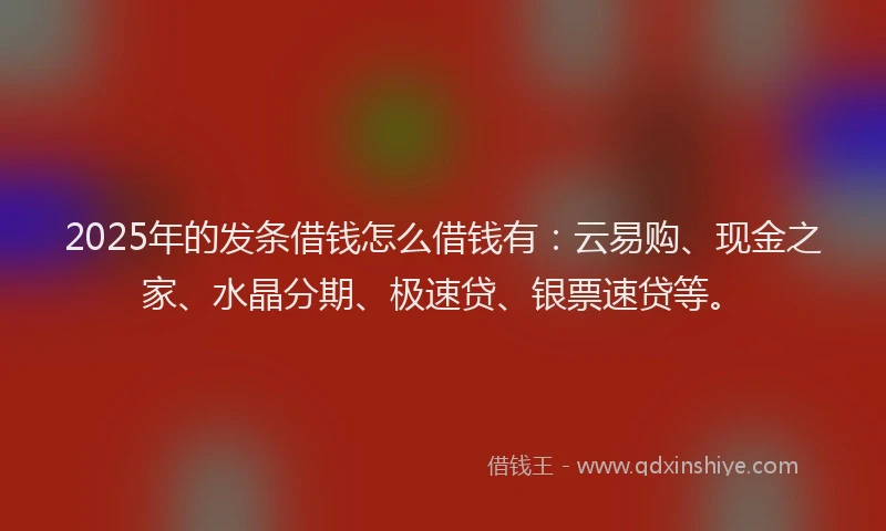 2025年的发条借钱怎么借钱有：云易购、现金之家、水晶分期、极速贷、银票速贷等。